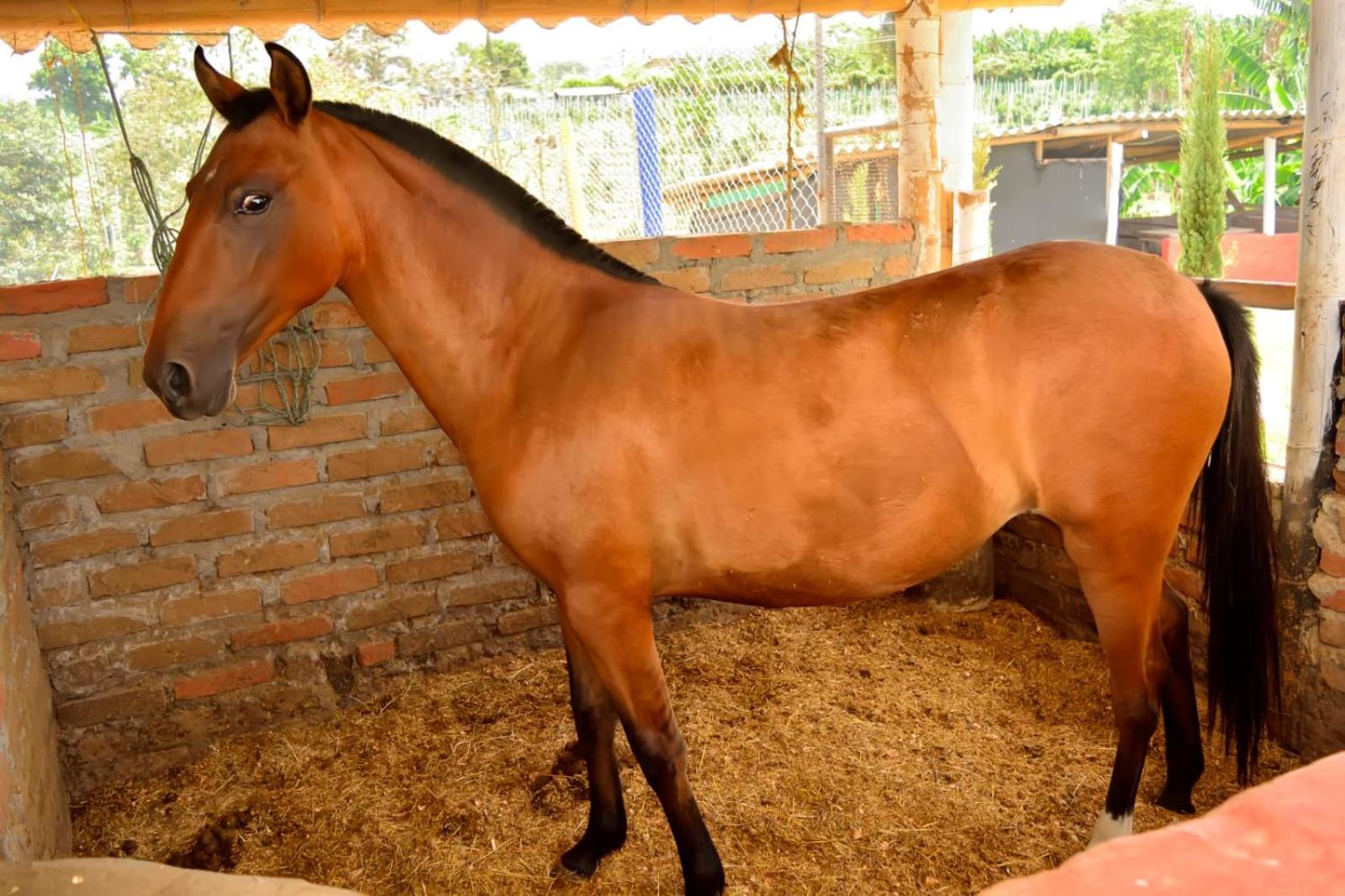 Casa de Campo La Malagueña
