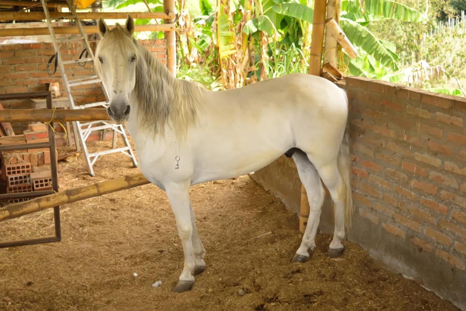 Casa de Campo La Malagueña
