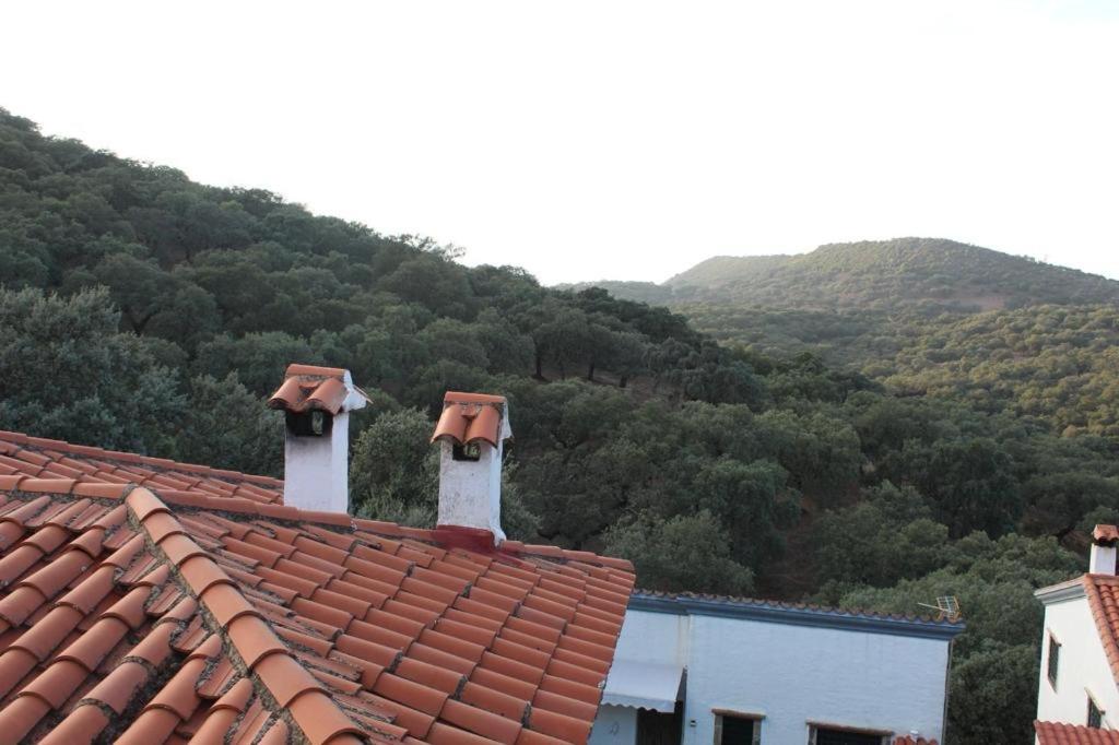 Vivienda Rural Casa Buena Vista