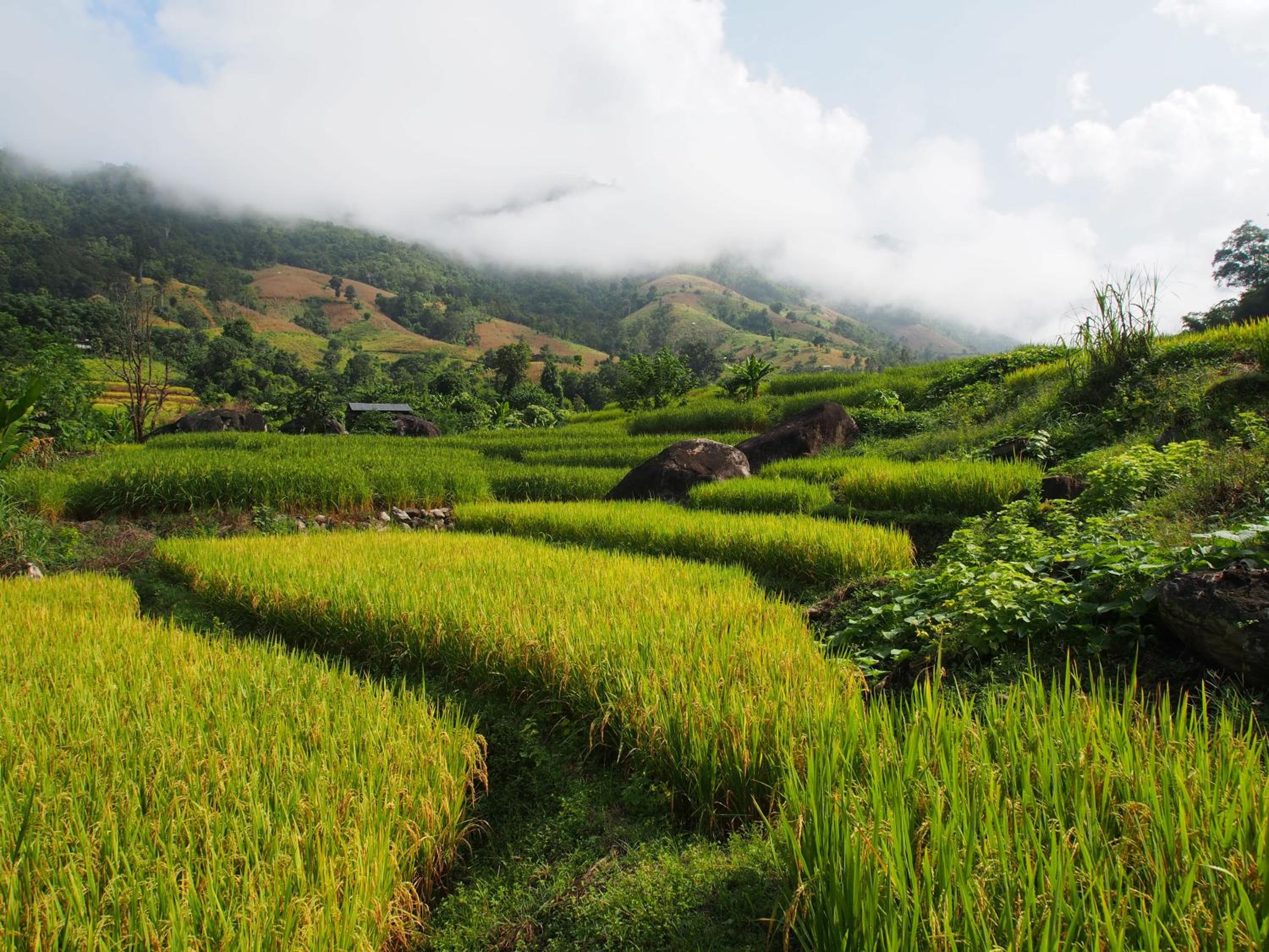 other