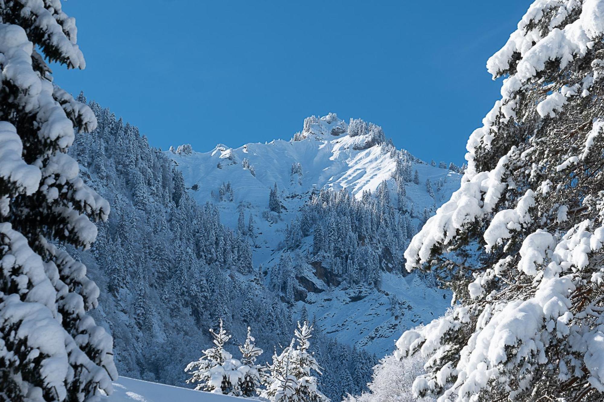 Alps Hoamat Ferienchalet