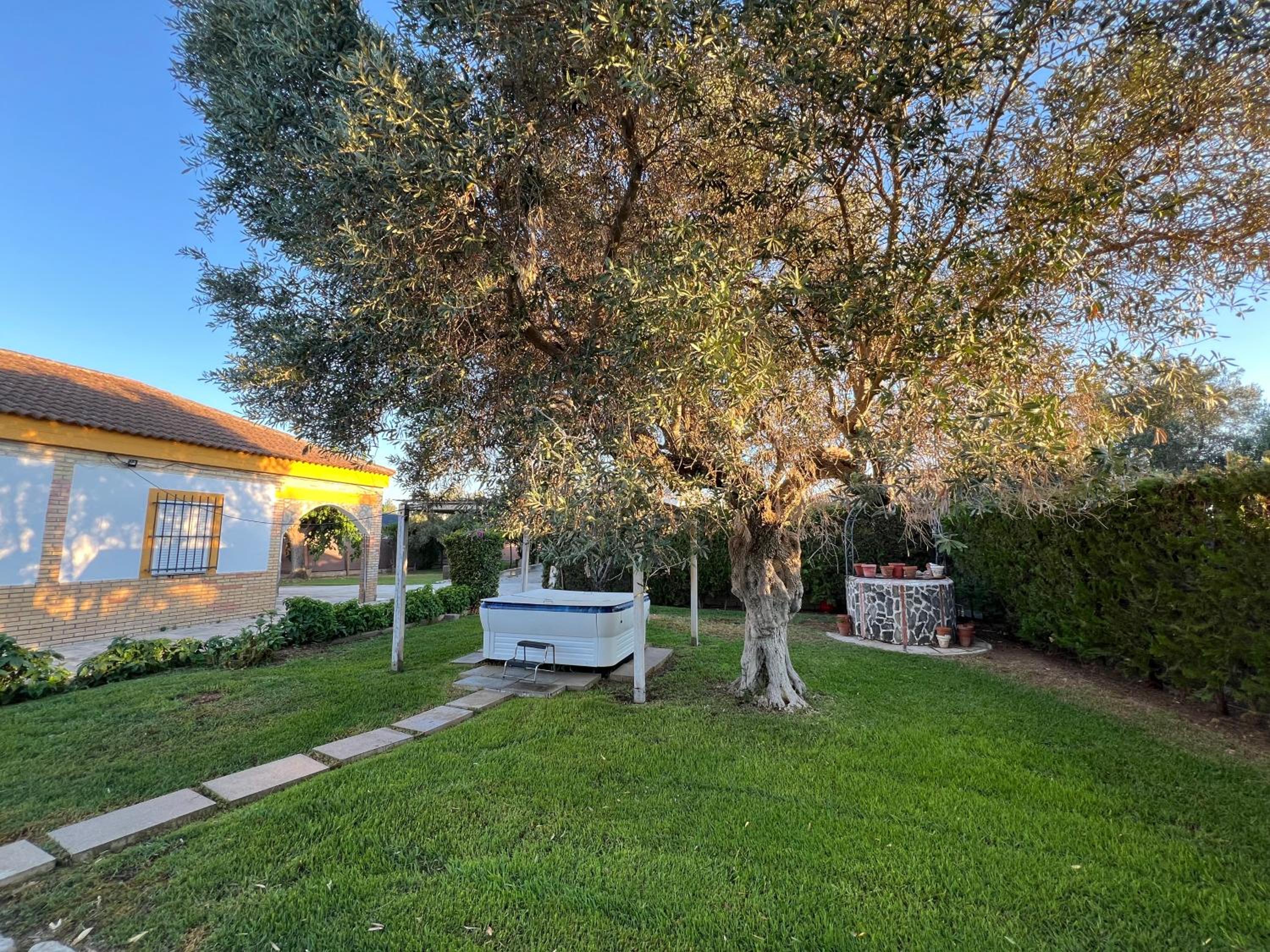 Chalet piscina jakuzzi sevilla