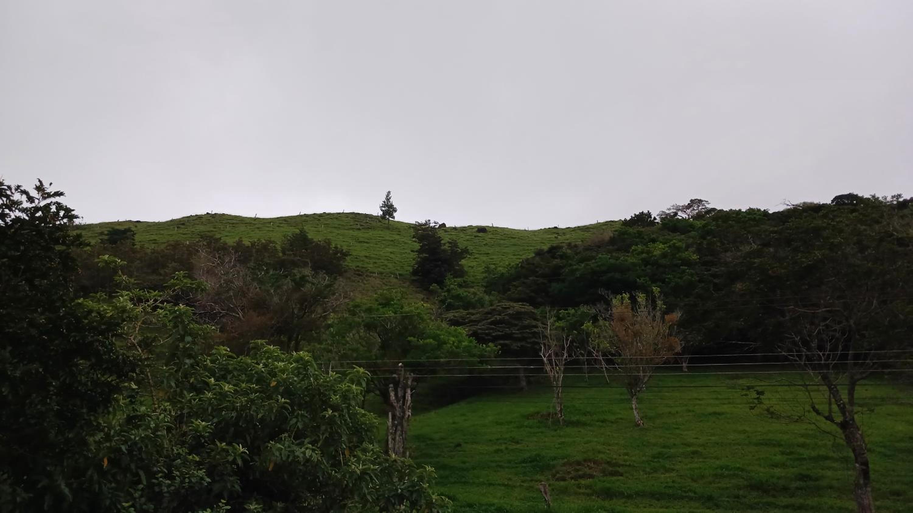 Casa Jaspe Monteverde - Balcón vista en Monteverde