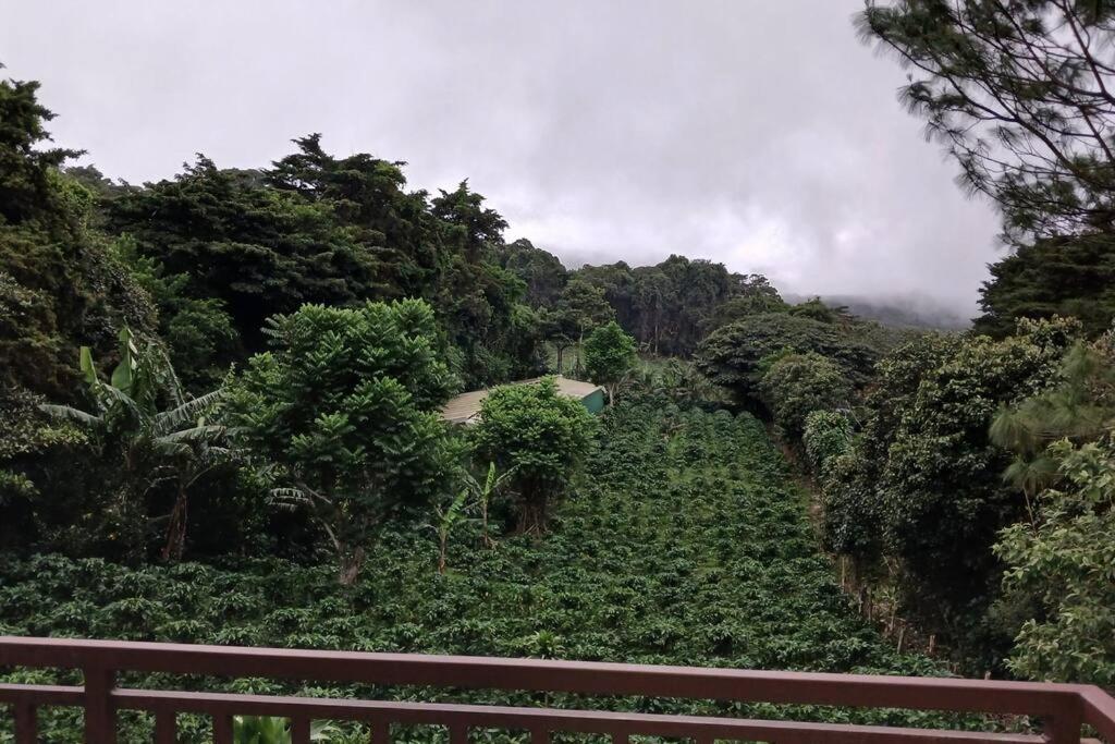 Casa Jaspe Monteverde - Balcón vista en Monteverde