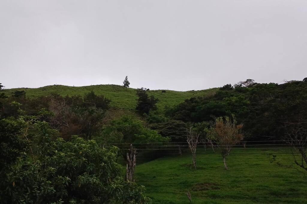 Casa Jaspe Monteverde - Balcón vista en Monteverde