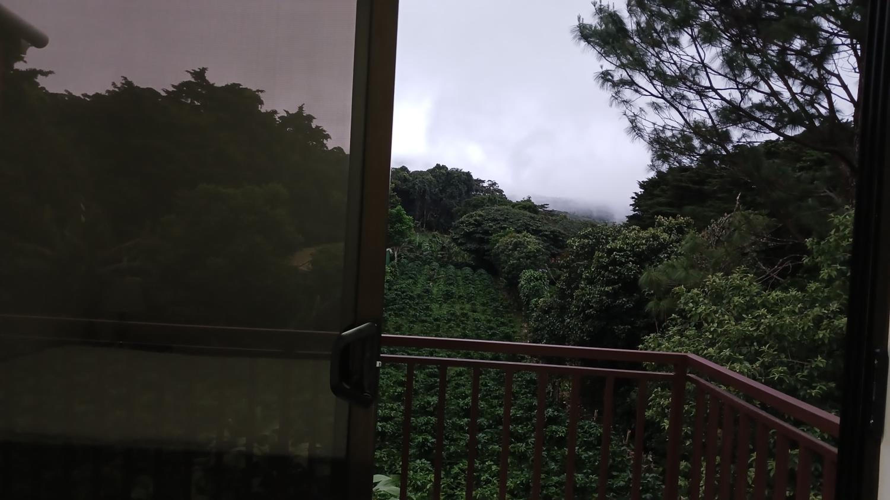 Casa Jaspe Monteverde - Balcón vista en Monteverde
