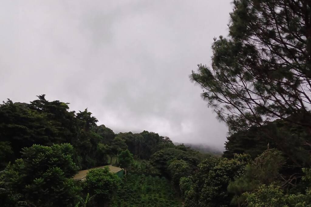 Casa Jaspe Monteverde - Balcón vista en Monteverde