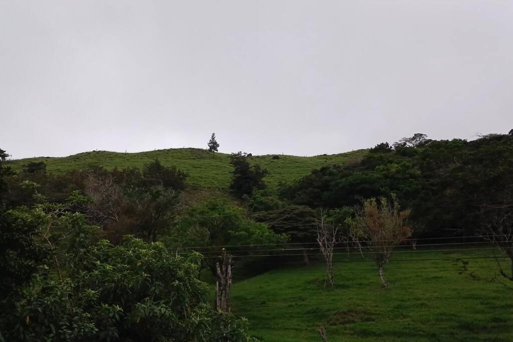 Casa Jaspe Monteverde - Balcón vista en Monteverde