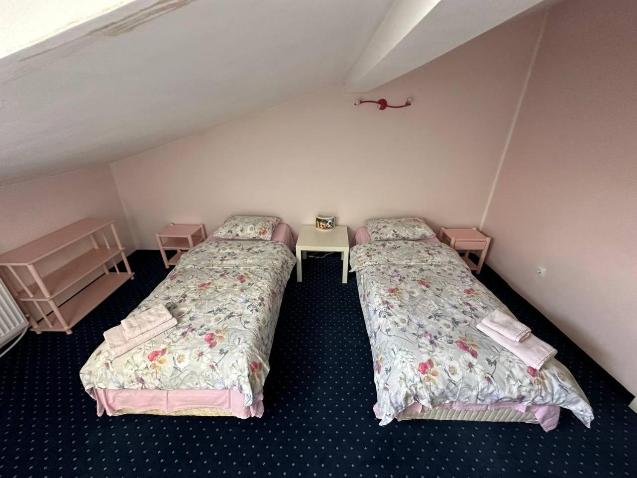 Cosy, quiet house with Vitosha view near Paradise