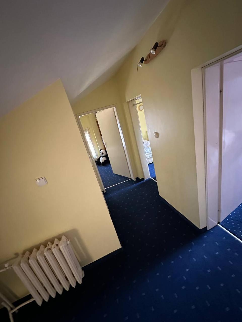 Cosy, quiet house with Vitosha view near Paradise