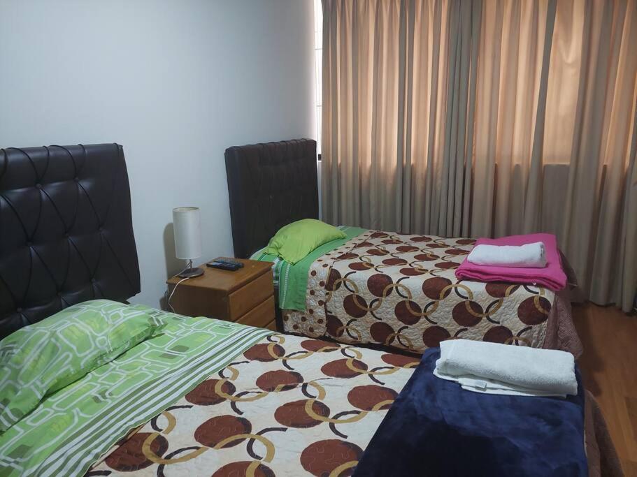 apartment temporal pardo 1