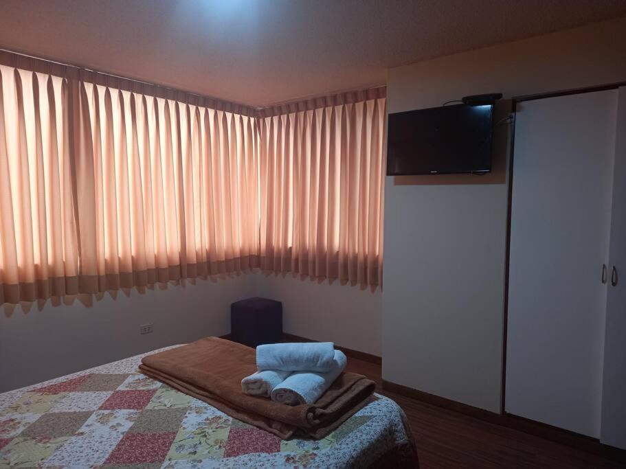 apartment temporal pardo 1