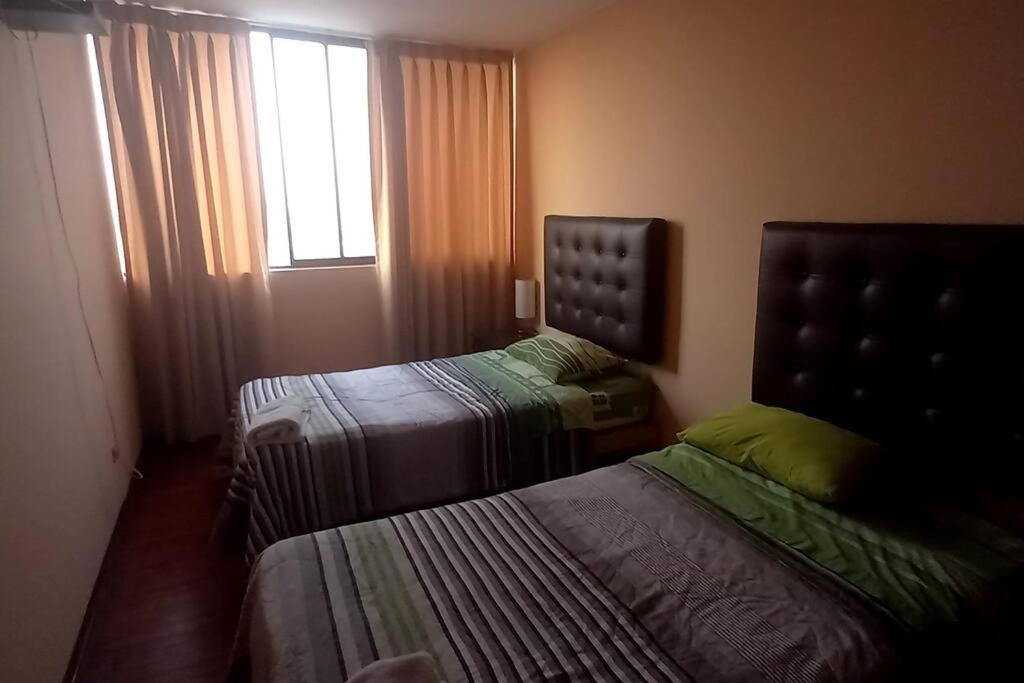 apartment temporal pardo 1