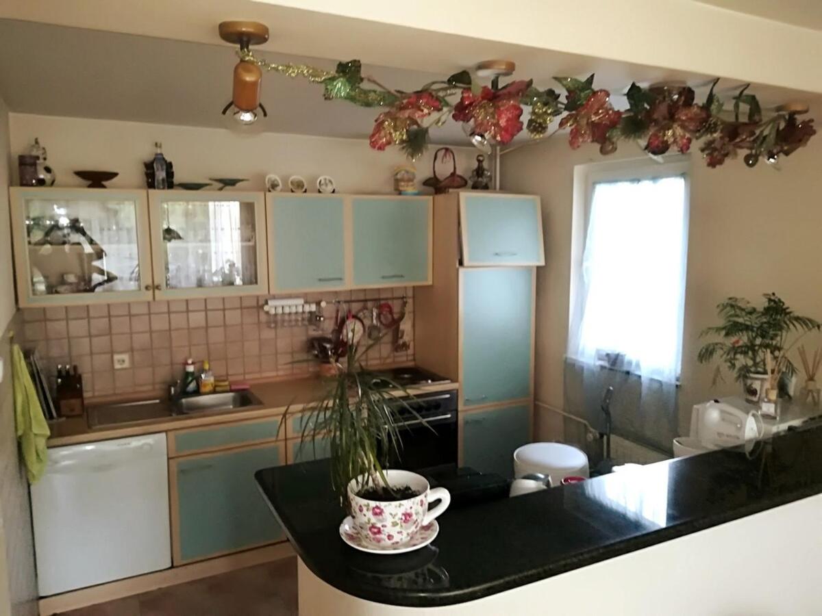 Cosy, quiet house with Vitosha view near Paradise