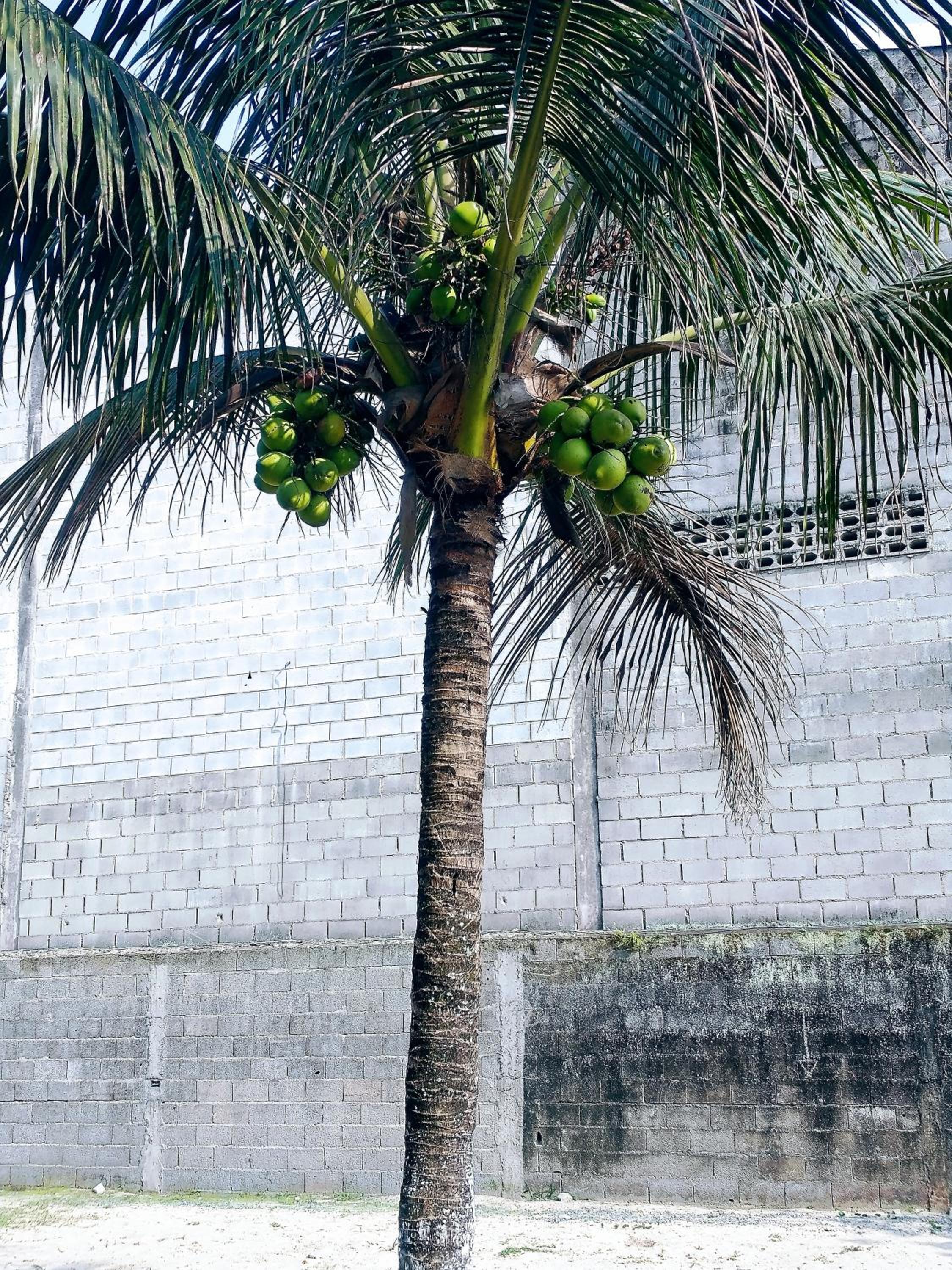 Chácara com piscina em Itanhaém