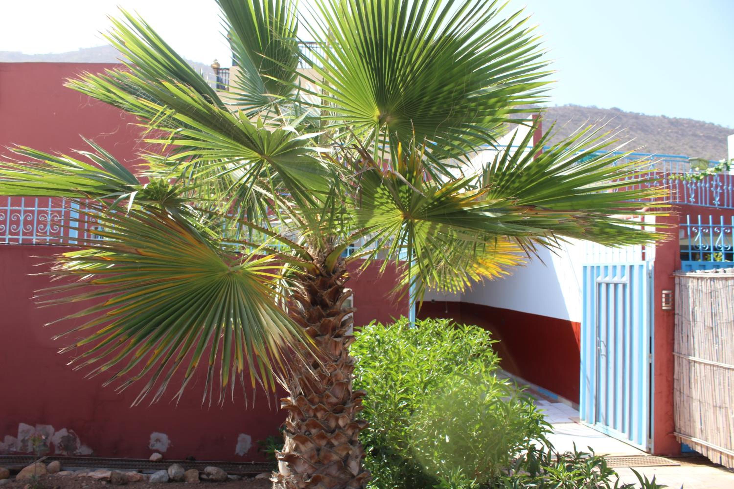 Sun and sea villa B view 2