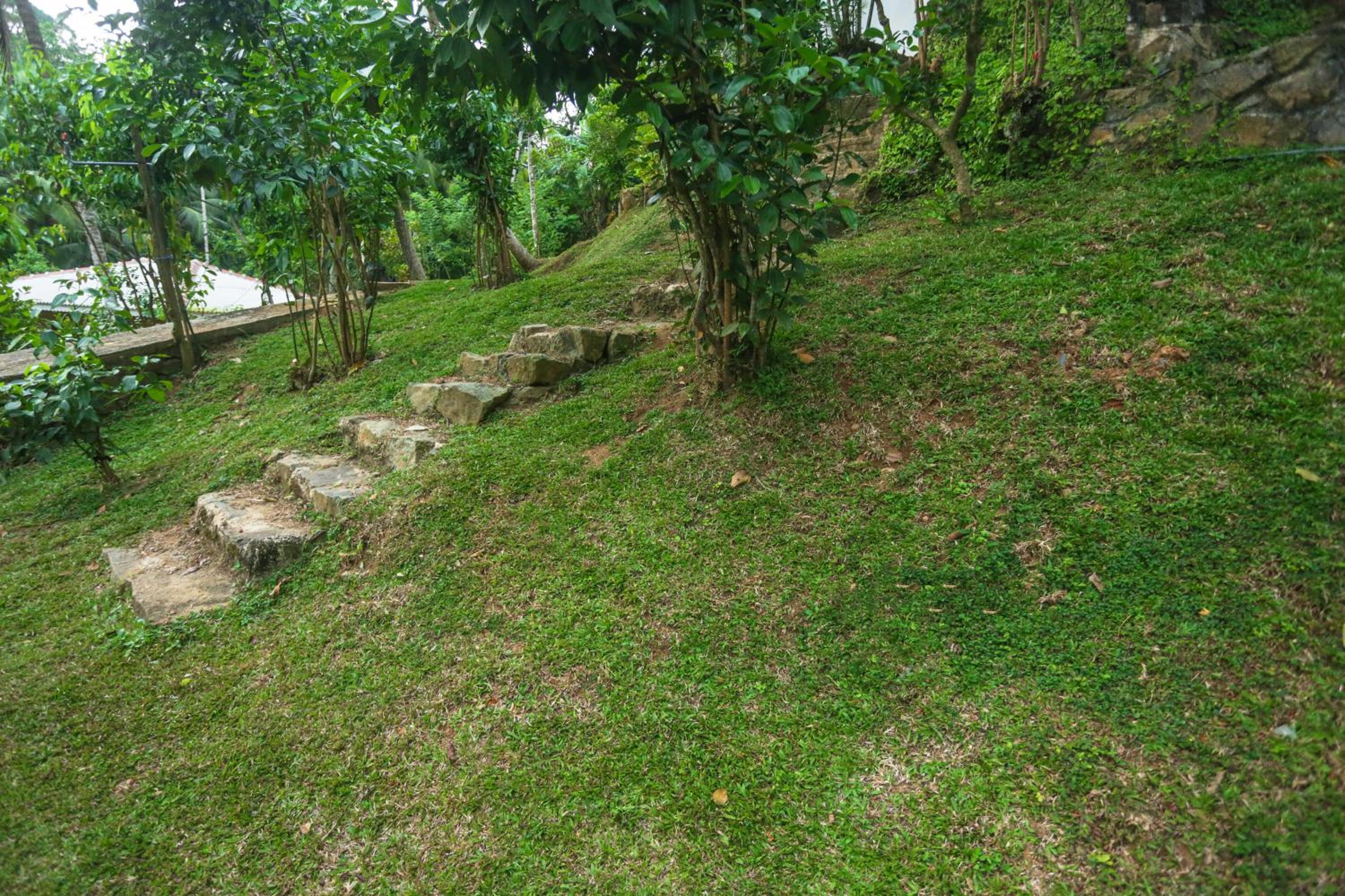 Photo 28