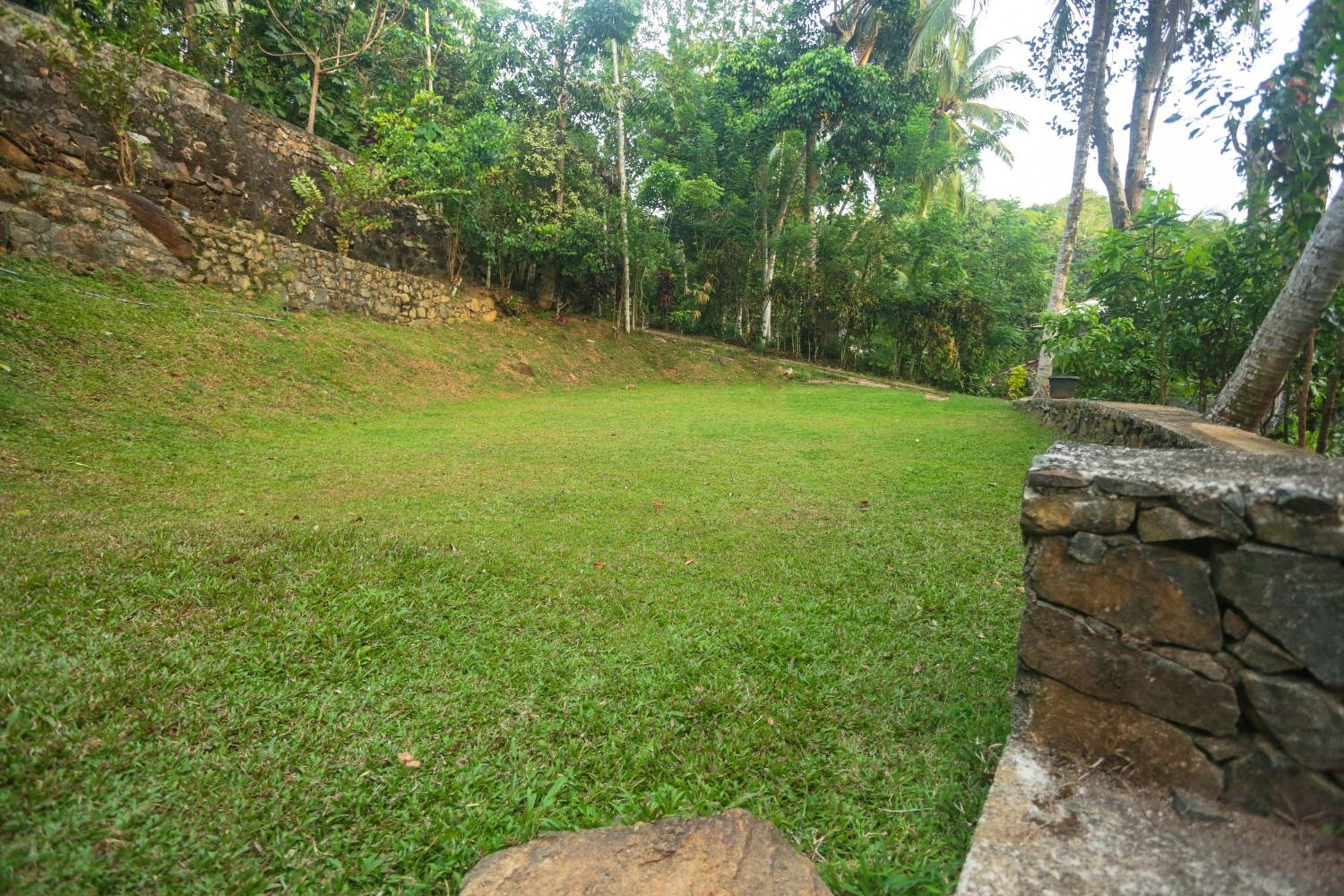 Photo 31