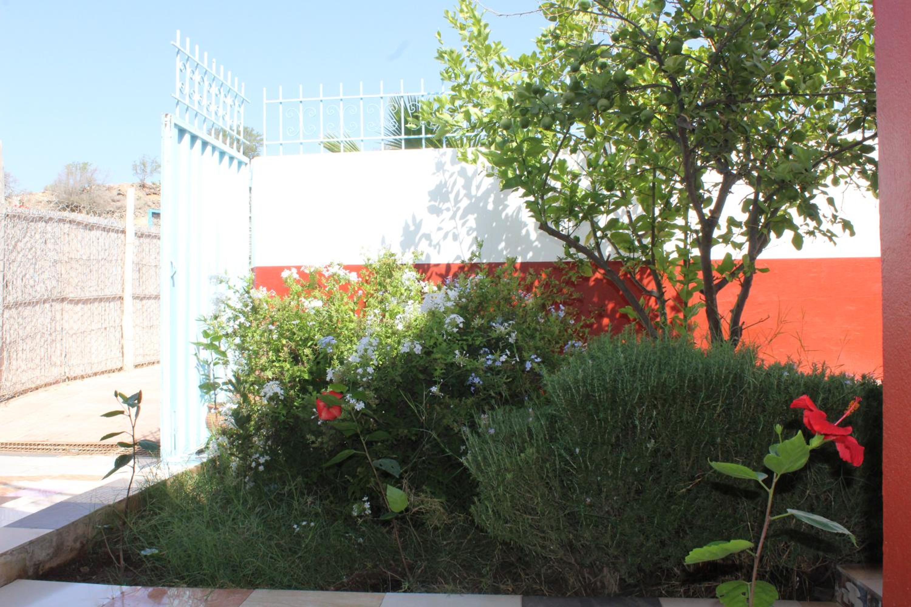 Photo 22