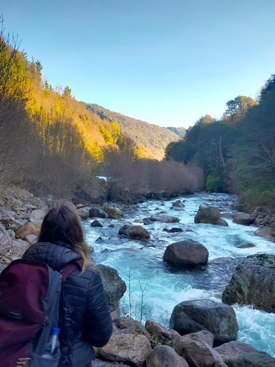 Nido Del Bosque
