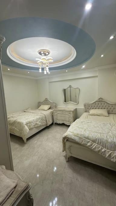 spacious and luxurious apartment