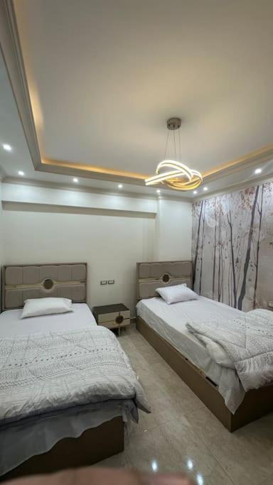 spacious and luxurious apartment