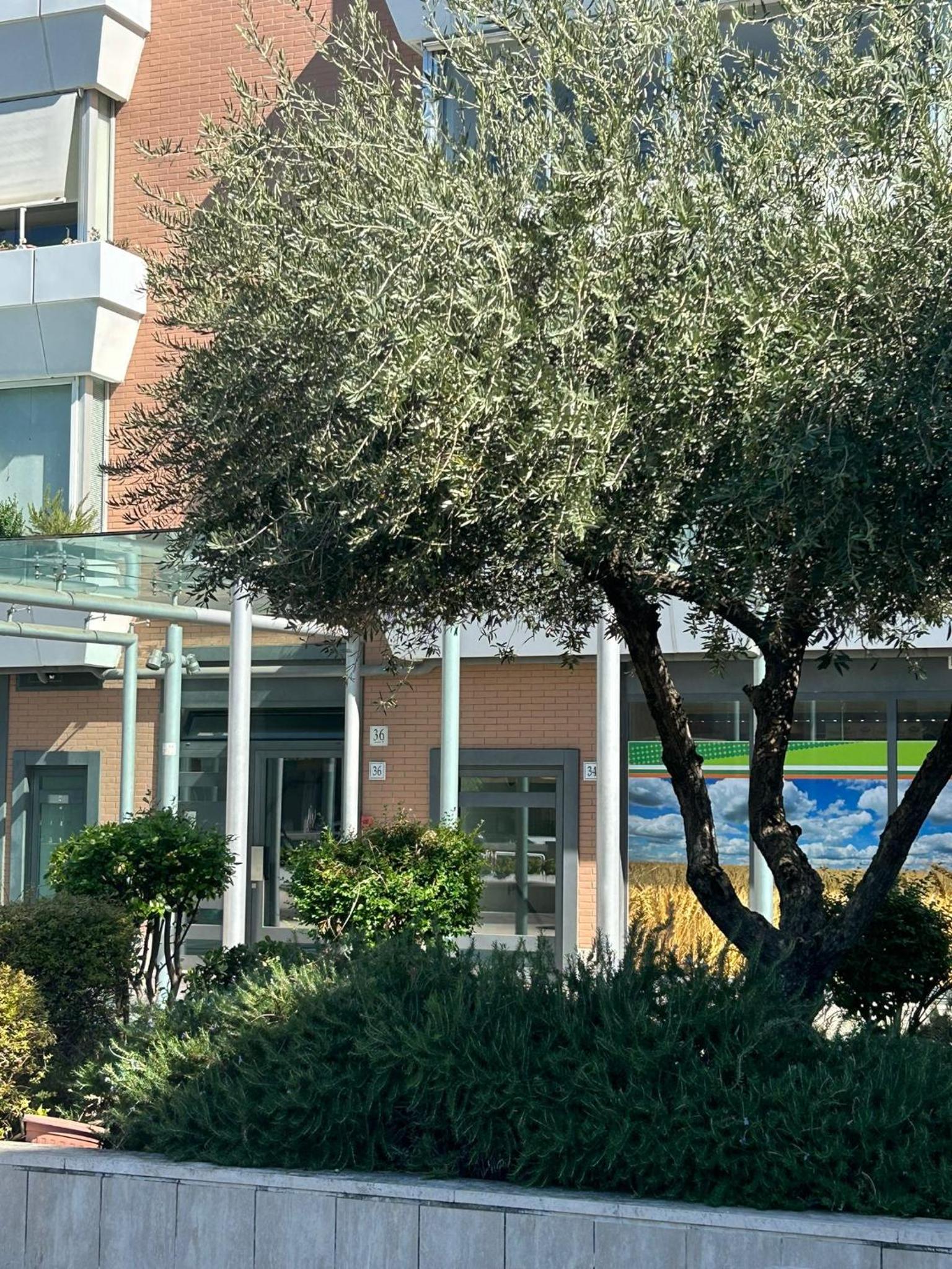 Dina Suite Rome