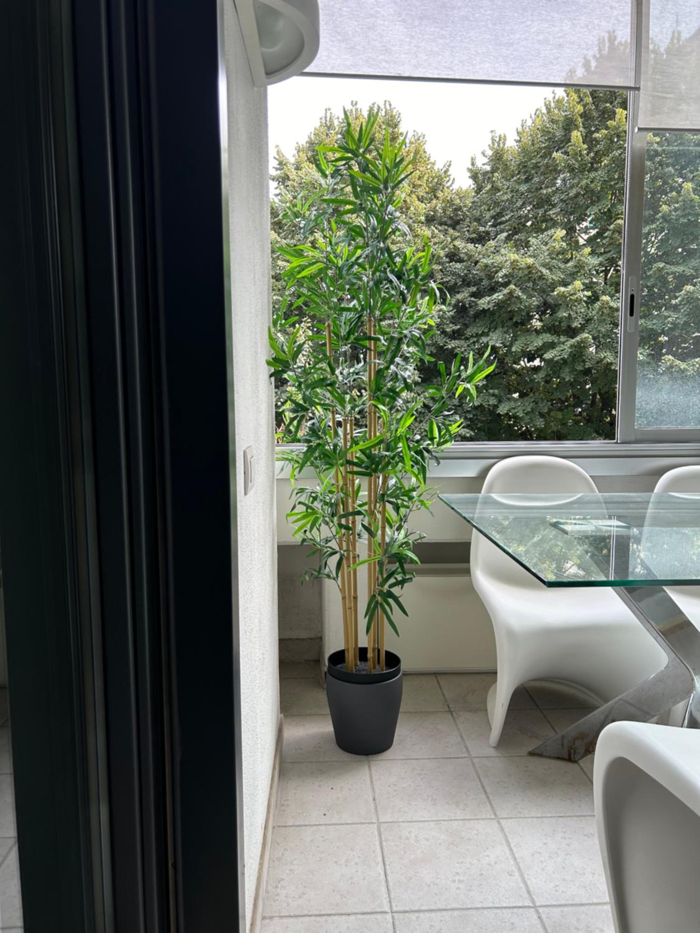 Dina Suite Rome