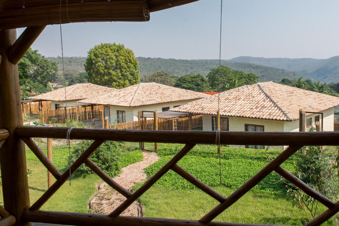 Casas Gengibre