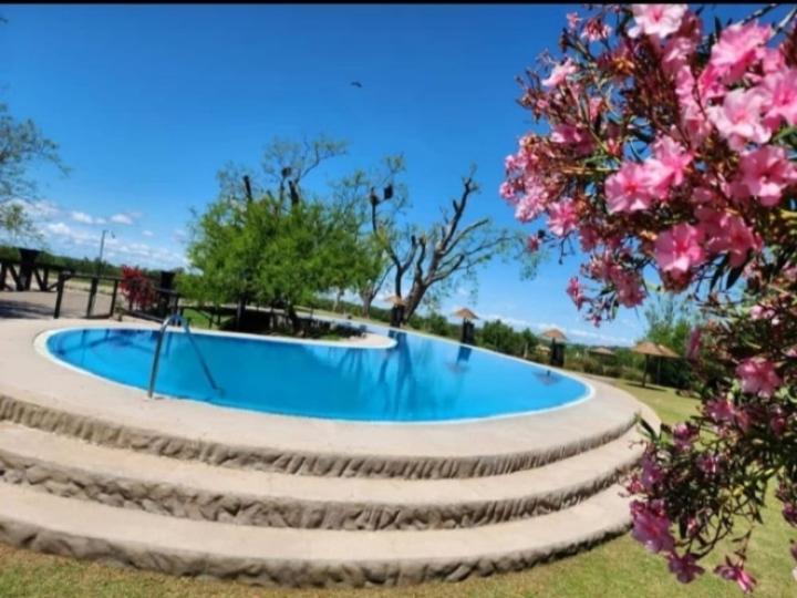 Cabañas vip loft