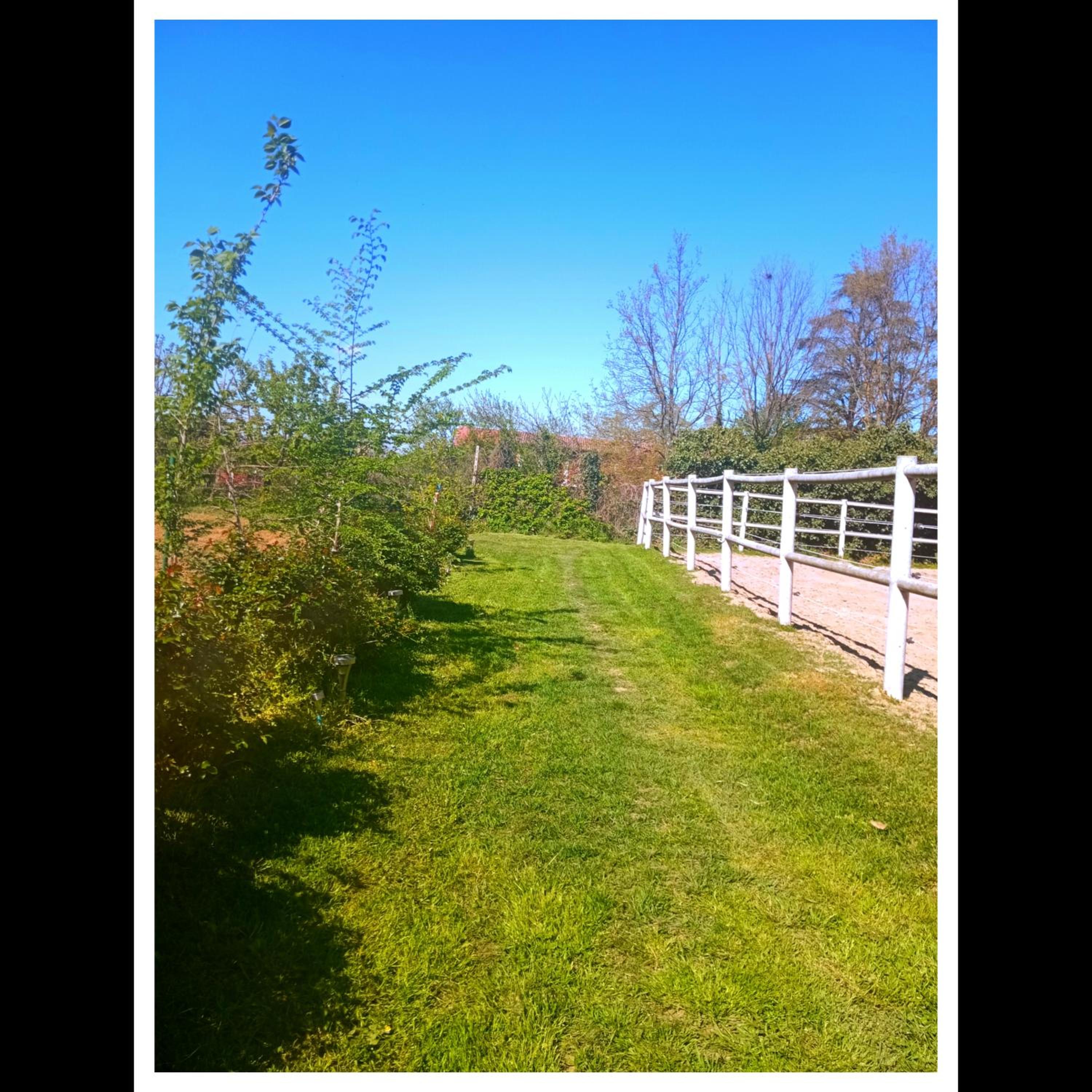 Felix House - Property Image 54