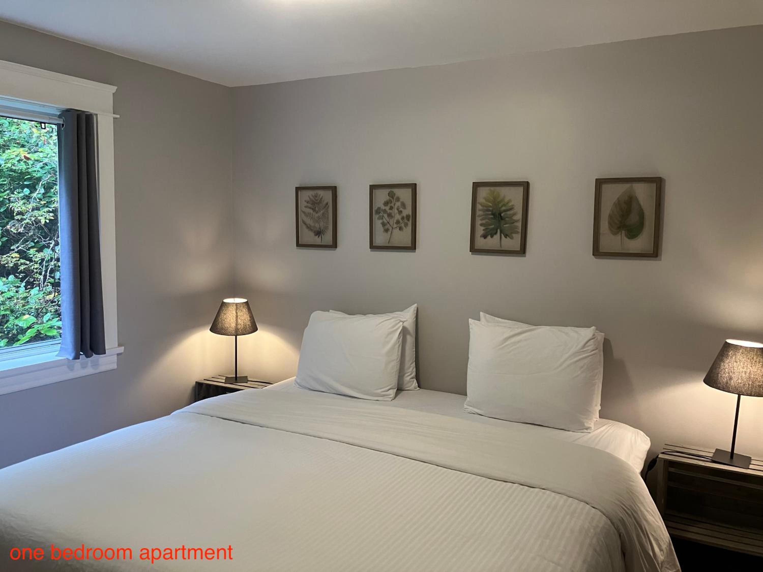 Tofino Vacations - Sienna's Tree House (Tall Trees And Salty Breeze) - Property Image 2