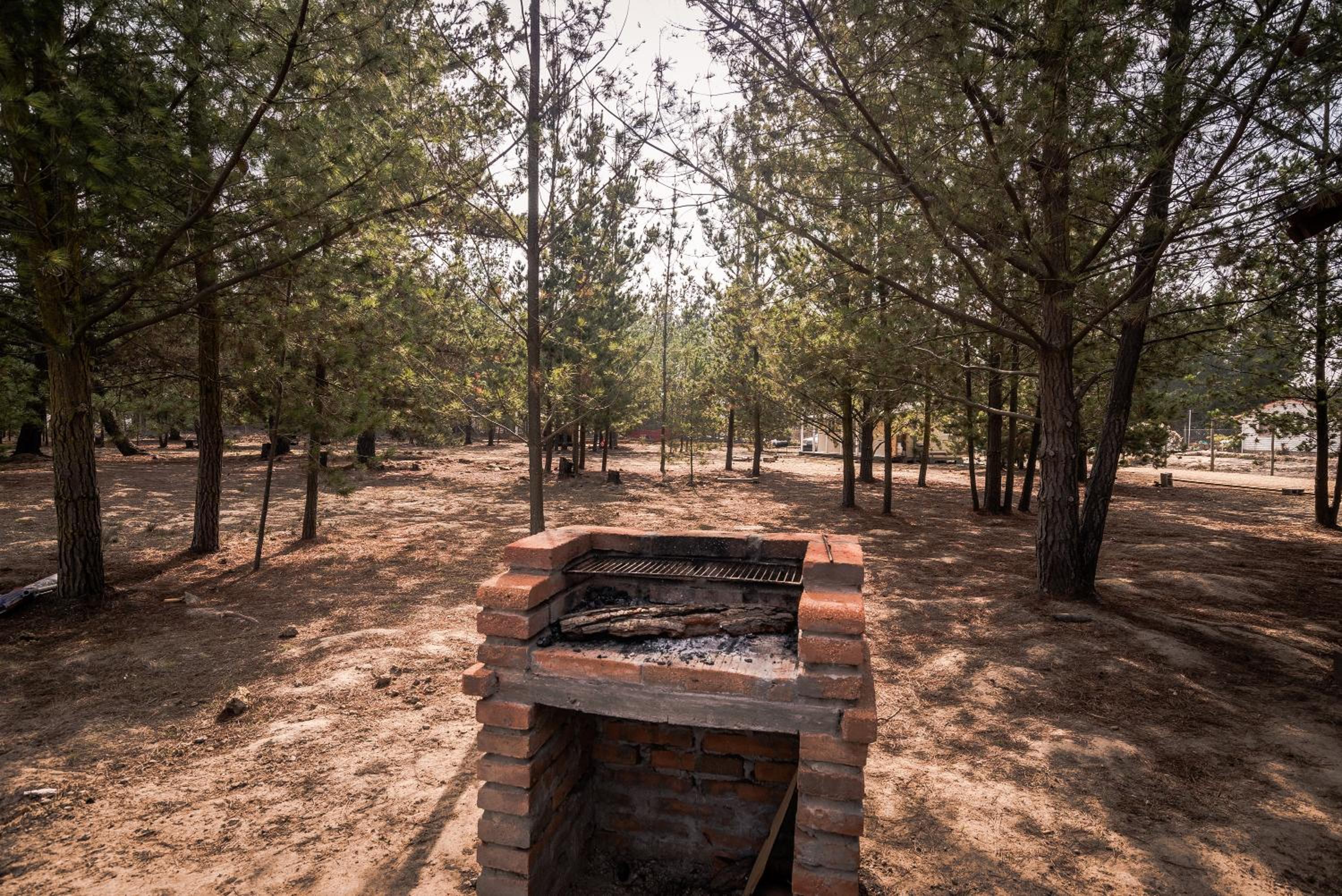 Riveras Rentals Bosque , cabañas & cabinas