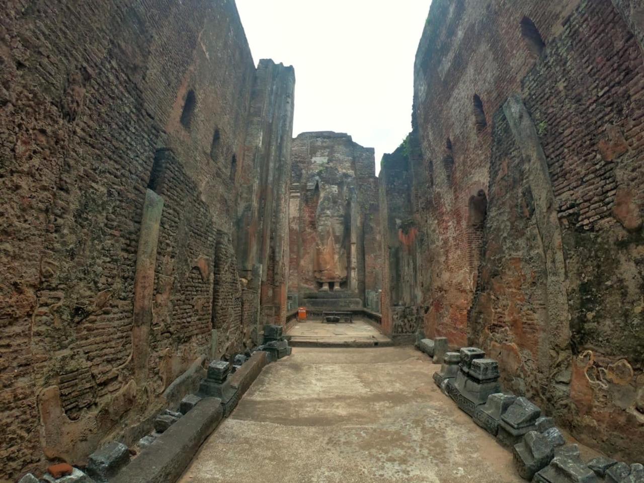 Photo 45