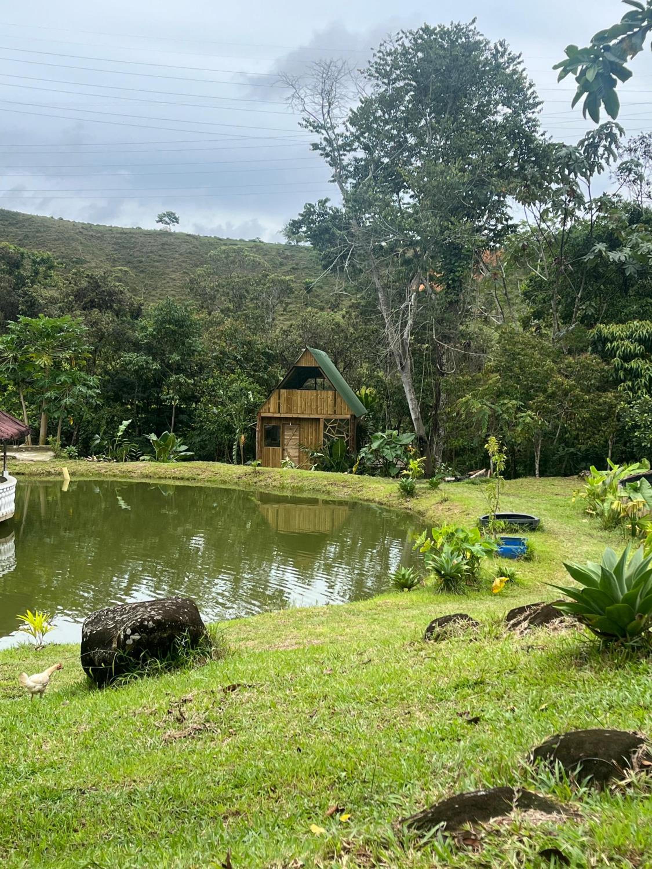 Hospedaje RioBosque San Carlos