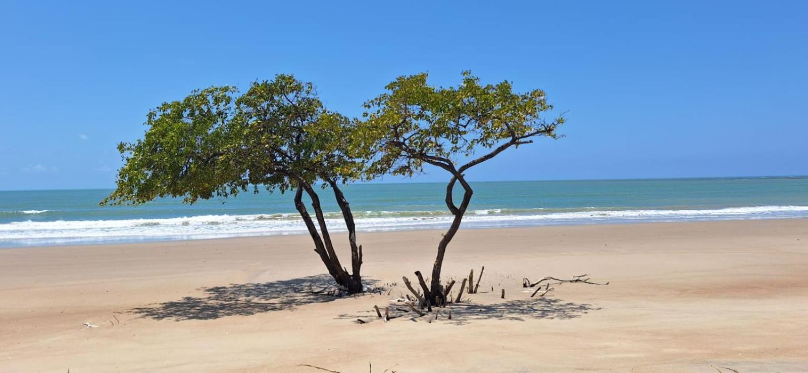 Pousada Abreu do Una