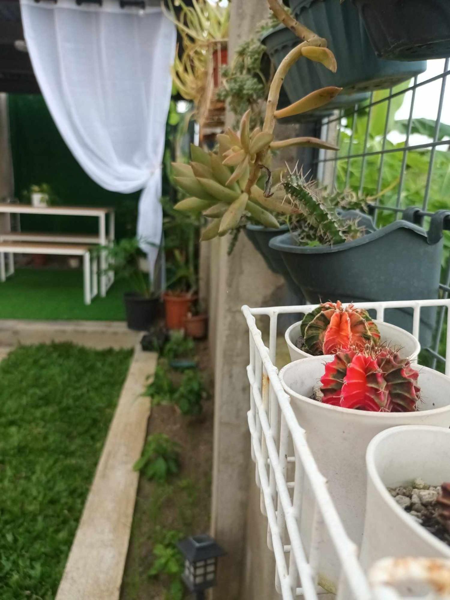 Agape's House