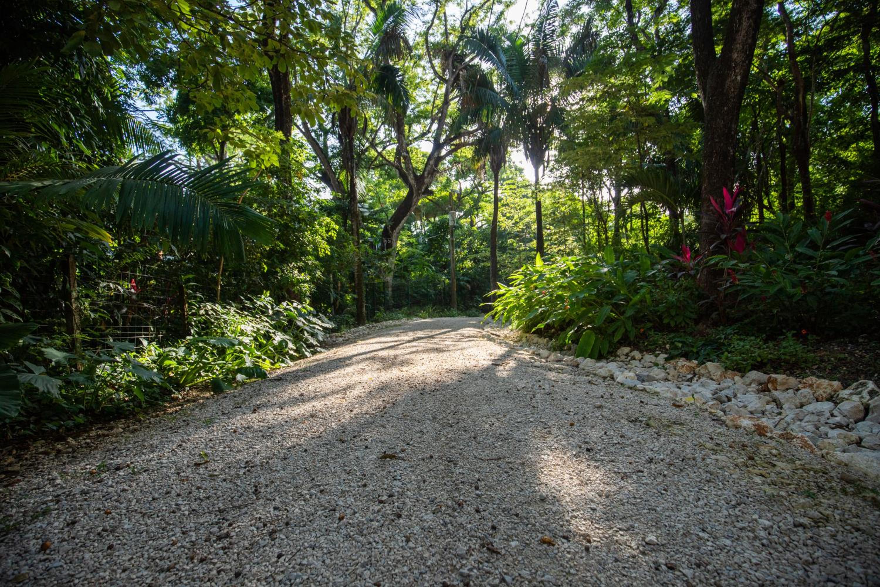 Four Winds Properties A Short Walk to the Beach