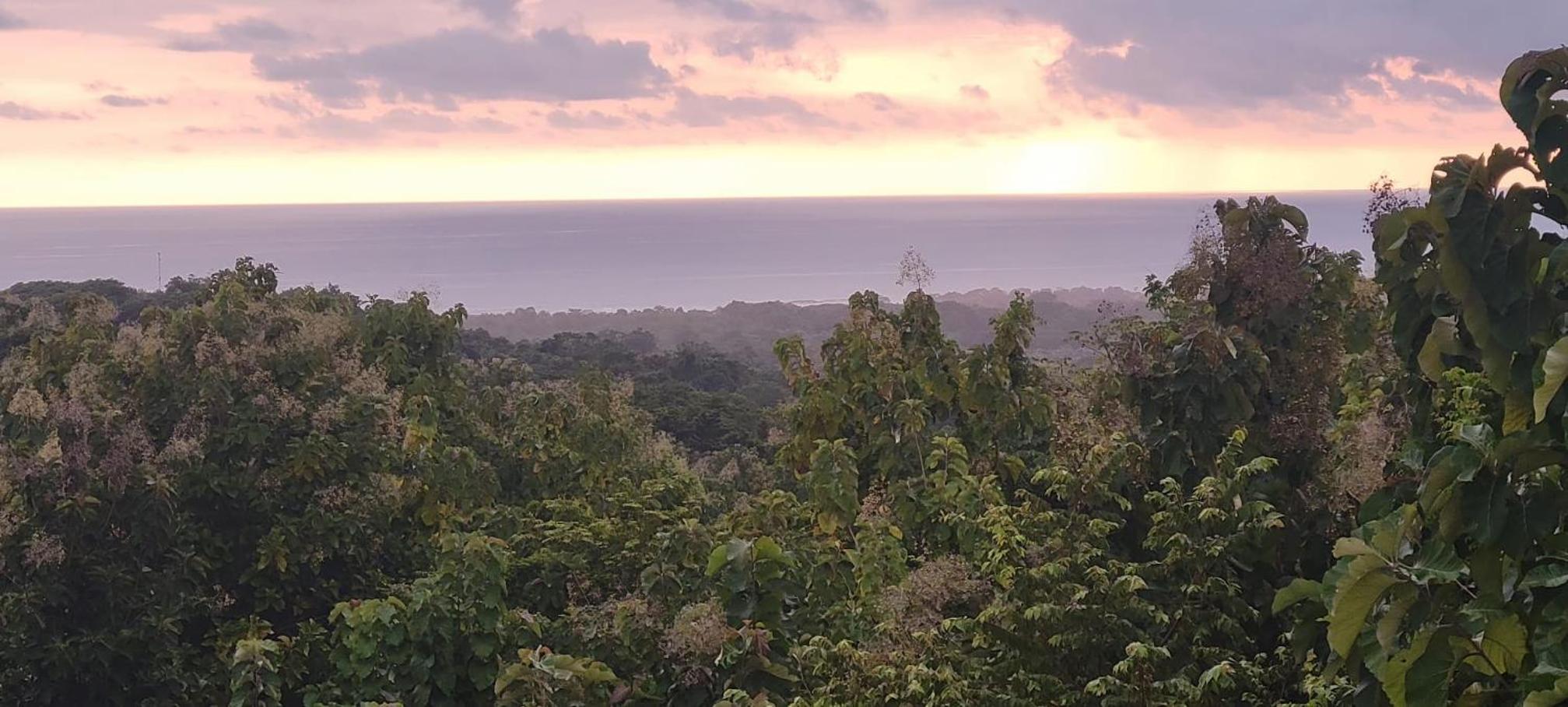 Ocean View Villa at Solindo Stays