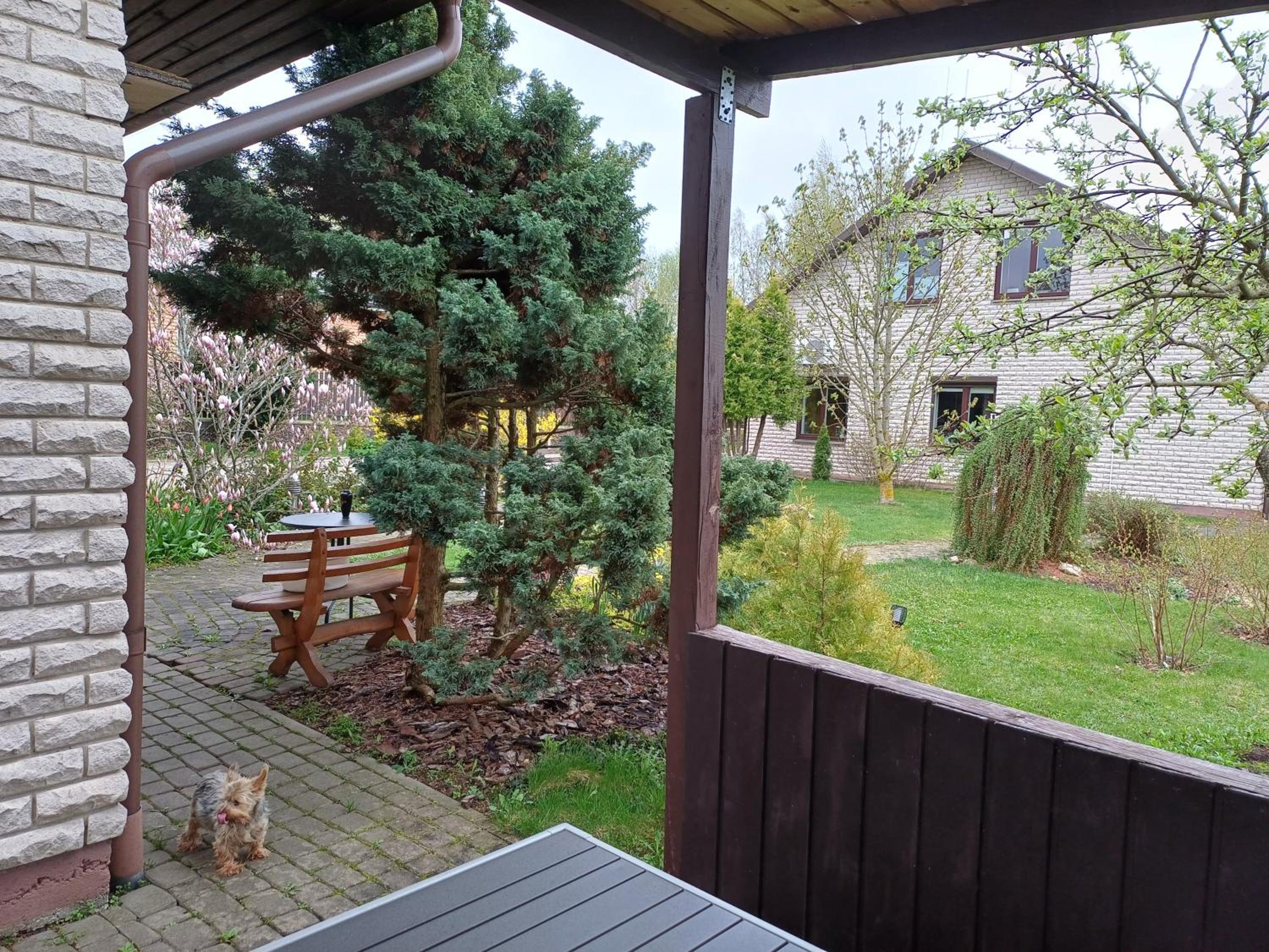 Cottage with fireplace and sauna view 5