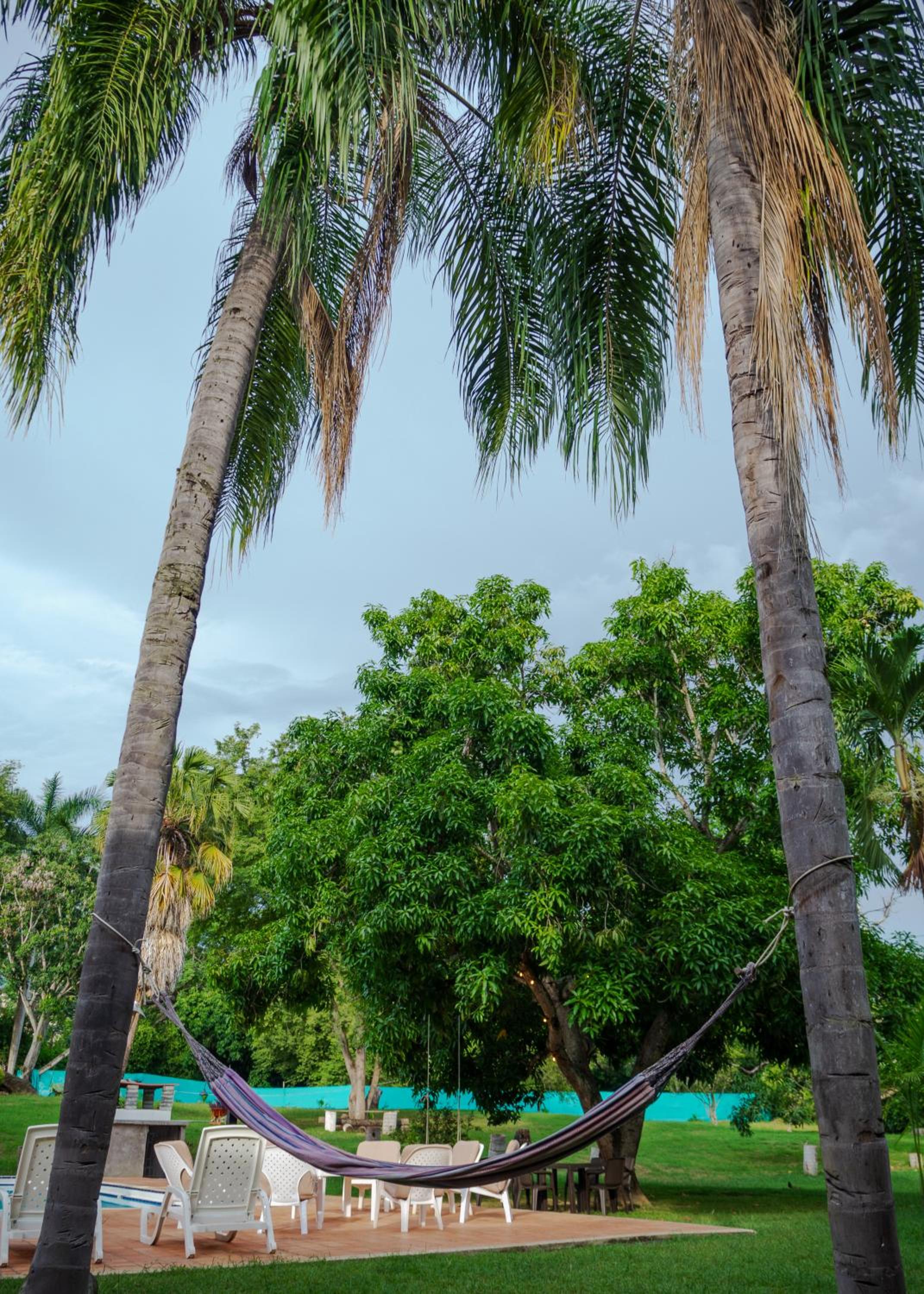Santa Ana Colonial
