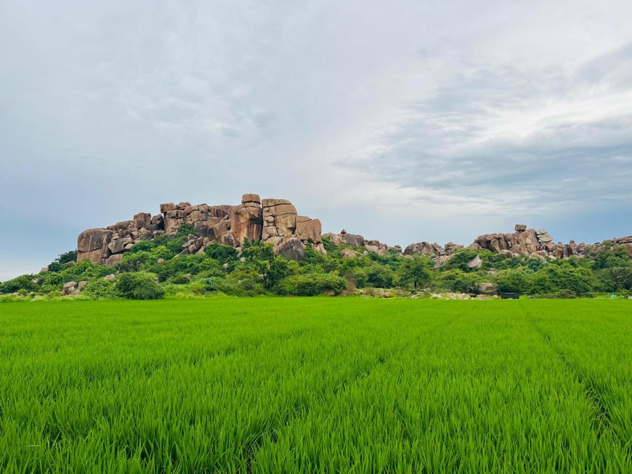 Mountain View Guesthouse Hampi
