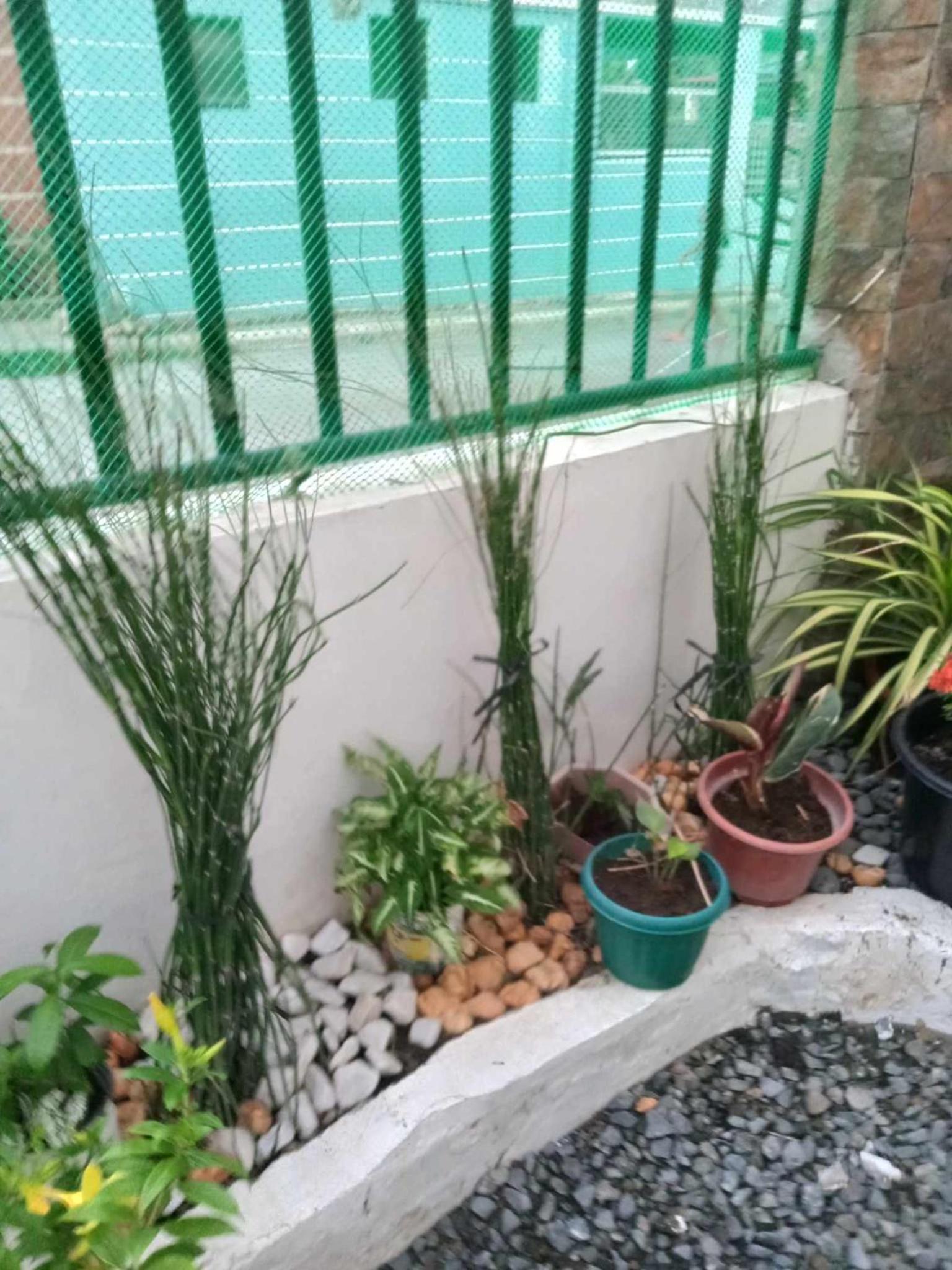 Cernardo's Staycation Place 1 near Enchanted Kingdom
