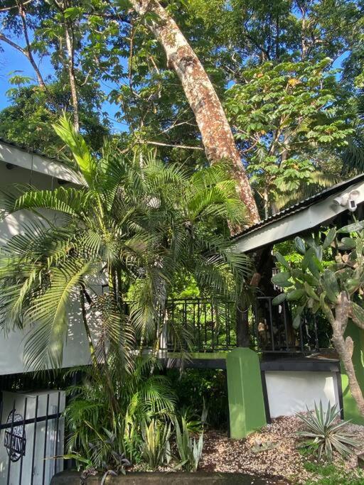 Jungle luxury on a budget Wisdom B&B