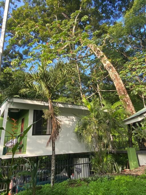 Jungle luxury on a budget Wisdom B&B