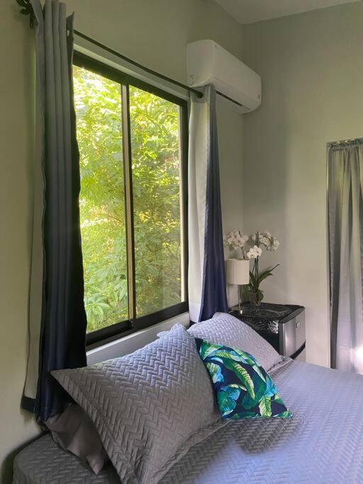 Jungle luxury on a budget Wisdom B&B