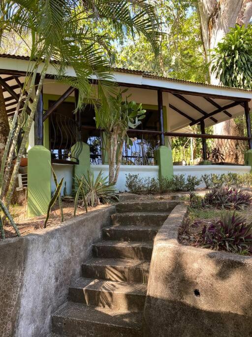 Jungle luxury on a budget Wisdom B&B