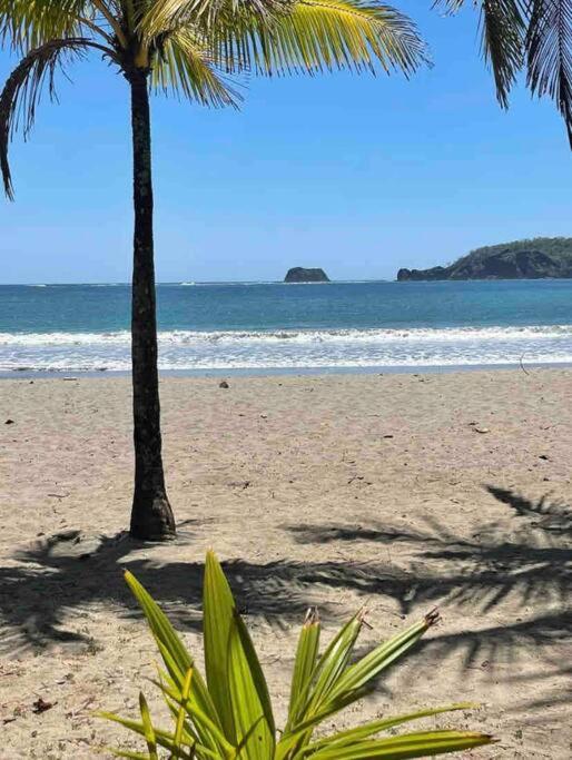Jungle luxury on a budget Wisdom B&B