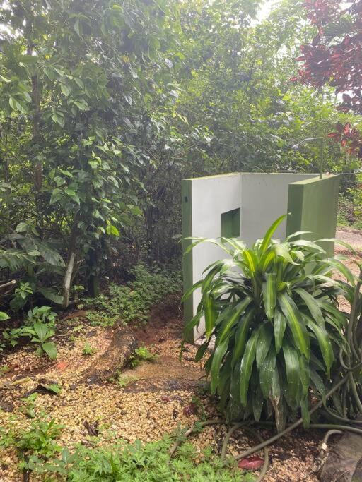 Jungle luxury on a budget Wisdom B&B