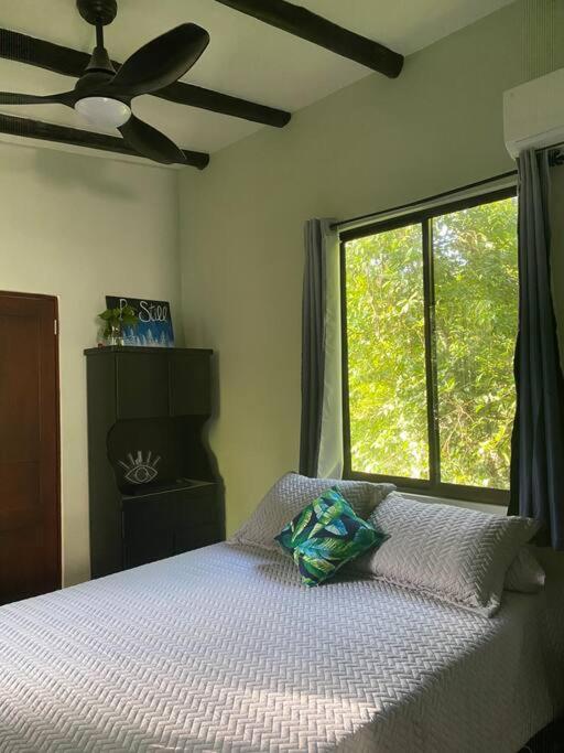 Jungle luxury on a budget Wisdom B&B